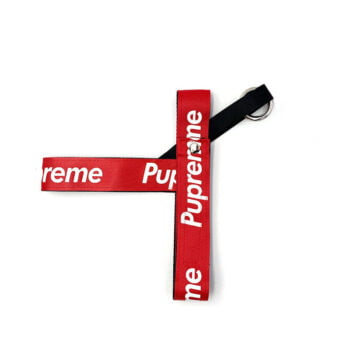 Dog Collar Harness Pupreme - 2025 - Puppy Streetwear Shop Dog Collar Harness Pupreme - 2025 - Puppy Streetwear Shop