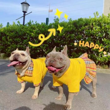 Dog Dress Burberry - 2025 - Puppy Streetwear Shop