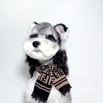 Dog Scarf Fendi - 2025 - Puppy Streetwear Shop