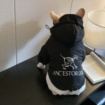 Dog Jacket - 2025 - Puppy Streetwear Shop