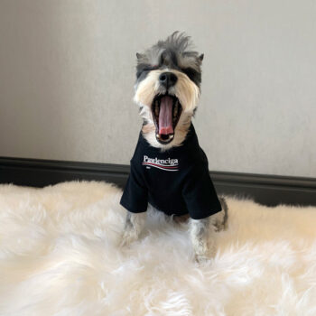 Dog Tshirt Balenciaga - 2026 - Puppy Streetwear Shop
