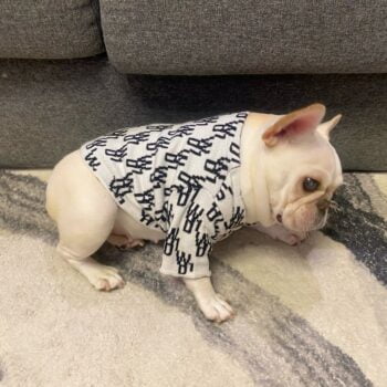Dog Sweater - 2025 - Puppy Streetwear Shop Dog Sweater - 2025 - Puppy Streetwear Shop