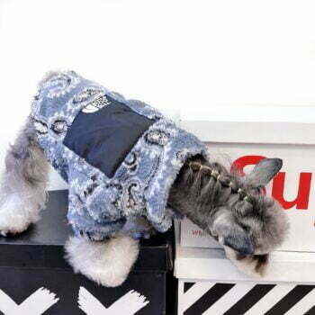 Dog Jacket The North Face - 2026 - Puppy Streetwear Shop