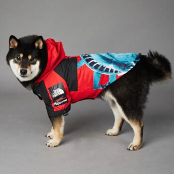 Dog Hoodies The North Face - 2025 - Puppy Streetwear Shop