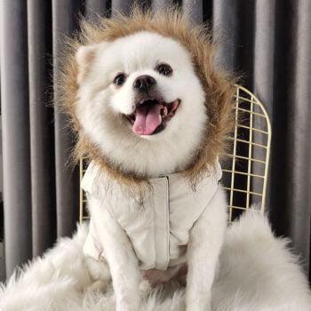 Canada Goose-Inspired Dog Jacket - 2026 - Puppy Streetwear Shop