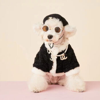 Dog Jacket Chanel - 2025 - Puppy Streetwear Shop