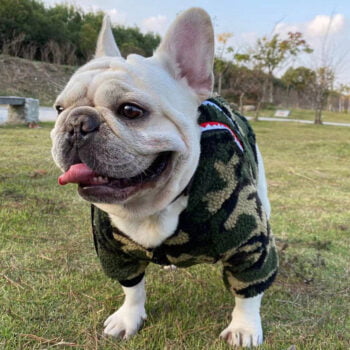 Dog Hoodies Bape - 2025 - Puppy Streetwear Shop