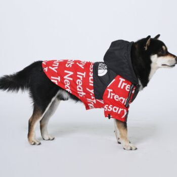 Dog Jacket The Dog Face - 2025 - Puppy Streetwear Shop Dog Jacket The Dog Face - 2025 - Puppy Streetwear Shop
