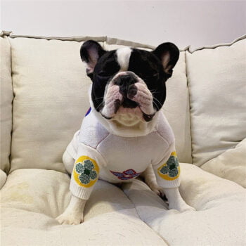 Dog Sweater Louis Pawtton - 2026 - Puppy Streetwear Shop