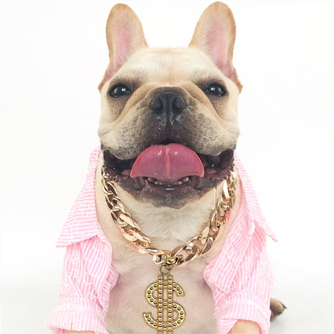 Dog Chain - 2025 - Puppy Streetwear Shop