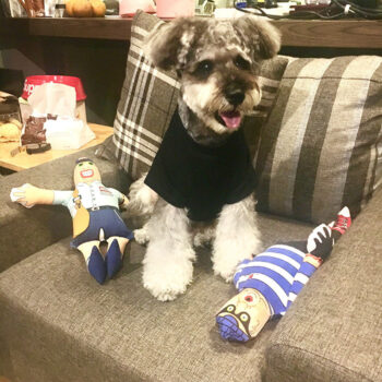 Dog Tshirt Pawcci - 2026 - Puppy Streetwear Shop