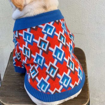 Dog Sweater Pawcci - 2026 - Puppy Streetwear Shop