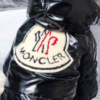 Dog Jacket Moncler - 2025 - Puppy Streetwear Shop