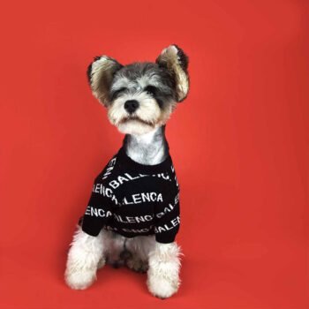 Dog Sweater Balenciaga - 2025 - Puppy Streetwear Shop