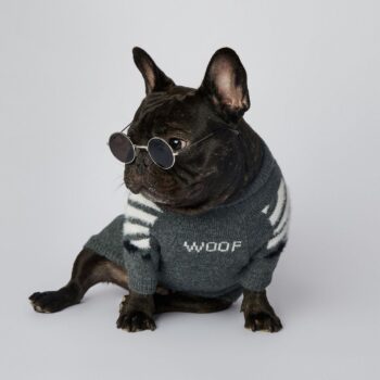 Dog Sweater WOOF - 2026 - Puppy Streetwear Shop
