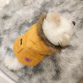 Canada Goose-Inspired Dog Jacket - 2026 - Puppy Streetwear Shop
