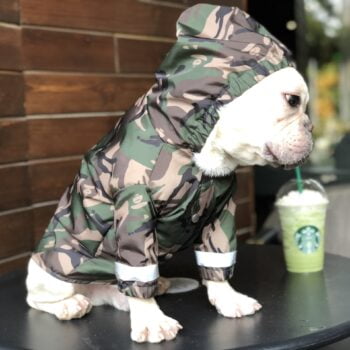 Dog Jacket Bape - 2025 - Puppy Streetwear Shop