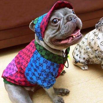 Dog Jacket Pawcci - 2025 - Puppy Streetwear Shop Dog Jacket Pawcci - 2025 - Puppy Streetwear Shop