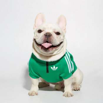 Dog Jacket Adidas - 2025 - Puppy Streetwear Shop