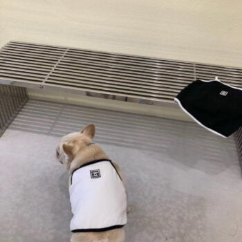 Dog Vest Chanel - 2025 - Puppy Streetwear Shop