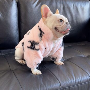 Dog Jacket Celine - 2025 - Puppy Streetwear Shop