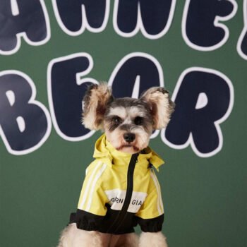 Dog Jacket Balenciaga - 2025 - Puppy Streetwear Shop Dog Jacket Balenciaga - 2025 - Puppy Streetwear Shop