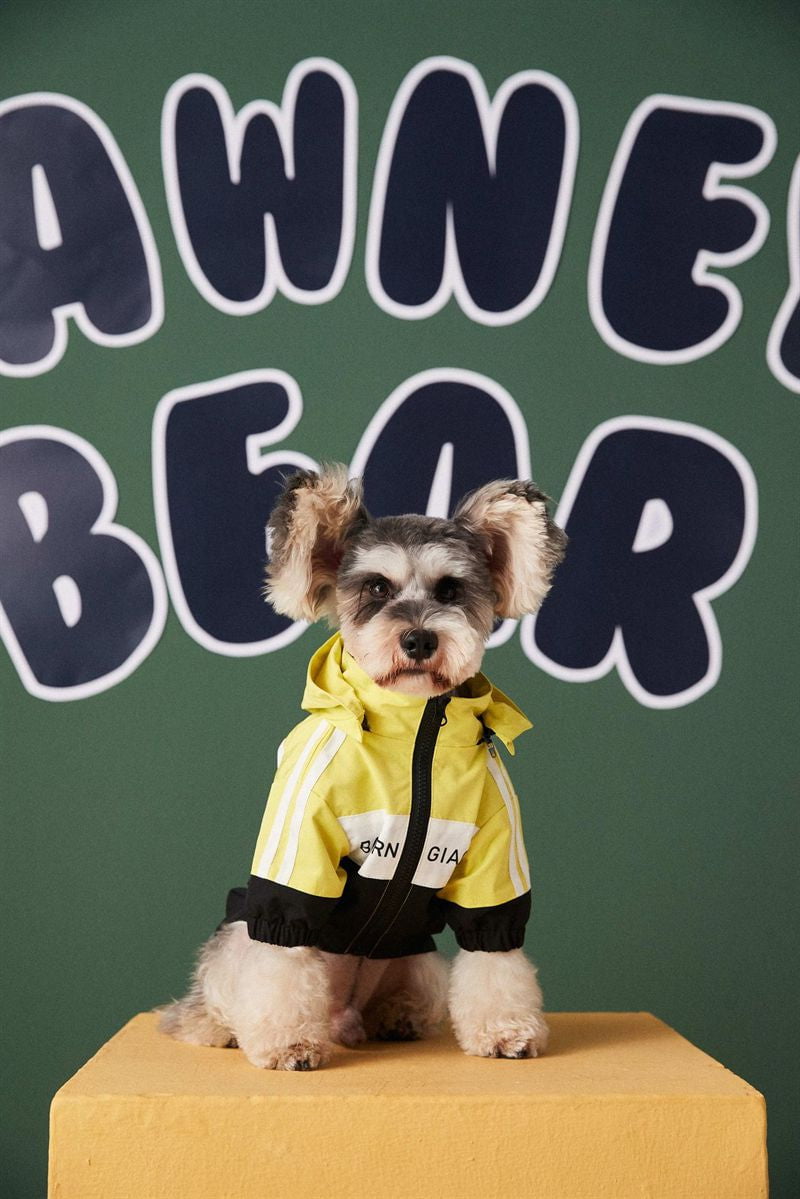 Designer Dog Jacket Balenciaga - 2023 - Puppy Streetwear Shop