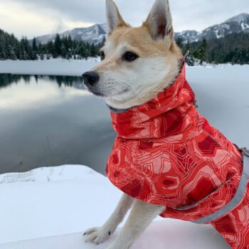 Dog Hoodies - 2025 - Puppy Streetwear Shop