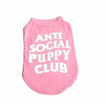 Dog Vest ASSP - 2025 - Puppy Streetwear Shop