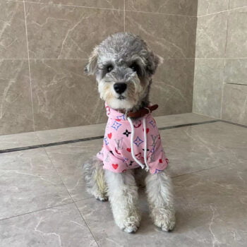 Dog Hoodies Louis Pawtton - 2025 - Puppy Streetwear Shop