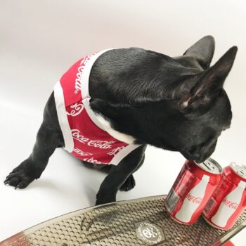 Dog Vest Coca Cola - 2025 - Puppy Streetwear Shop