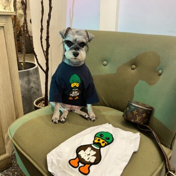 Dog Tshirt Louis Pawtton - 2026 - Puppy Streetwear Shop