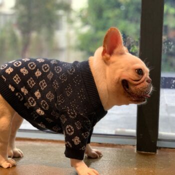Dog Sweater Louis Pawtton - 2025 - Puppy Streetwear Shop