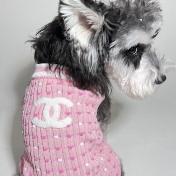 Dog Sweater Chanel - 2025 - Puppy Streetwear Shop