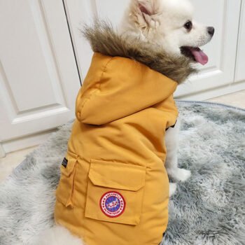 Canada Goose-Inspired Dog Jacket - 2026 - Puppy Streetwear Shop
