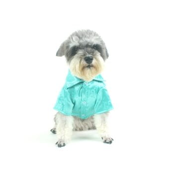 Dog Shirt Pawcci - 2026 - Puppy Streetwear Shop