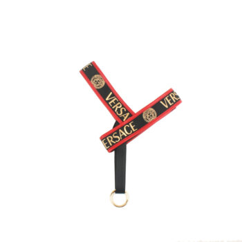 Dog Collar Harness Versace - 2025 - Puppy Streetwear Shop