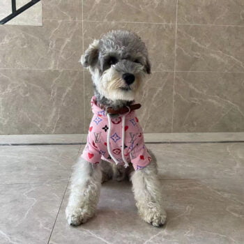 Dog Hoodies Louis Pawtton - 2025 - Puppy Streetwear Shop