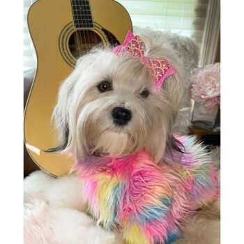 Fur Colorful Dog Jacket - 2025 - Puppy Streetwear Shop