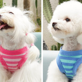 Dog Vest CDG - 2025 - Puppy Streetwear Shop