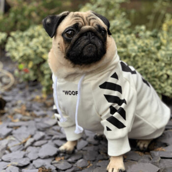 Dog Hoodies WOOF - 2025 - Puppy Streetwear Shop