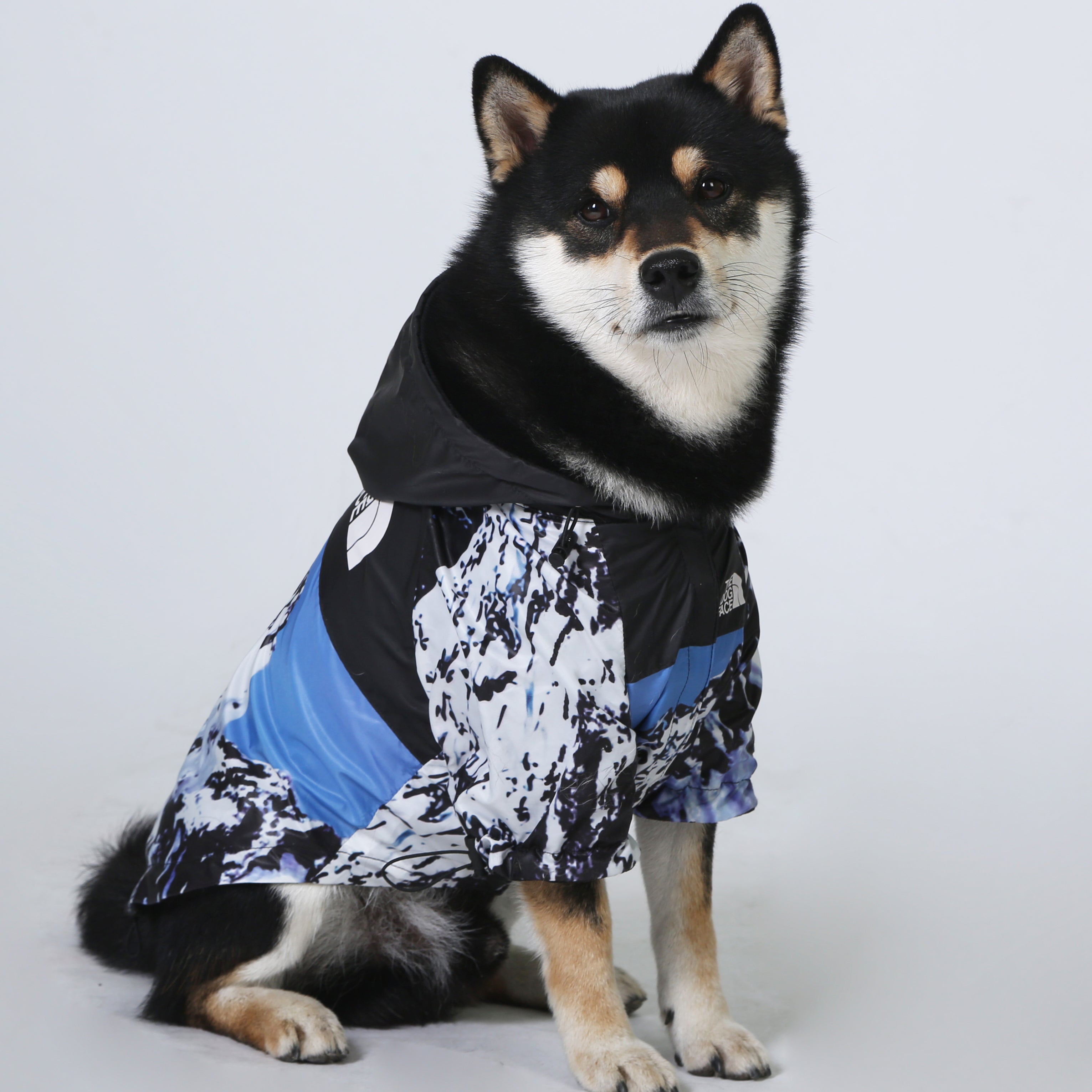 Designer Dog Jacket The Dog Face Snow Mountain - 2023 - Puppy Streetwear Shop