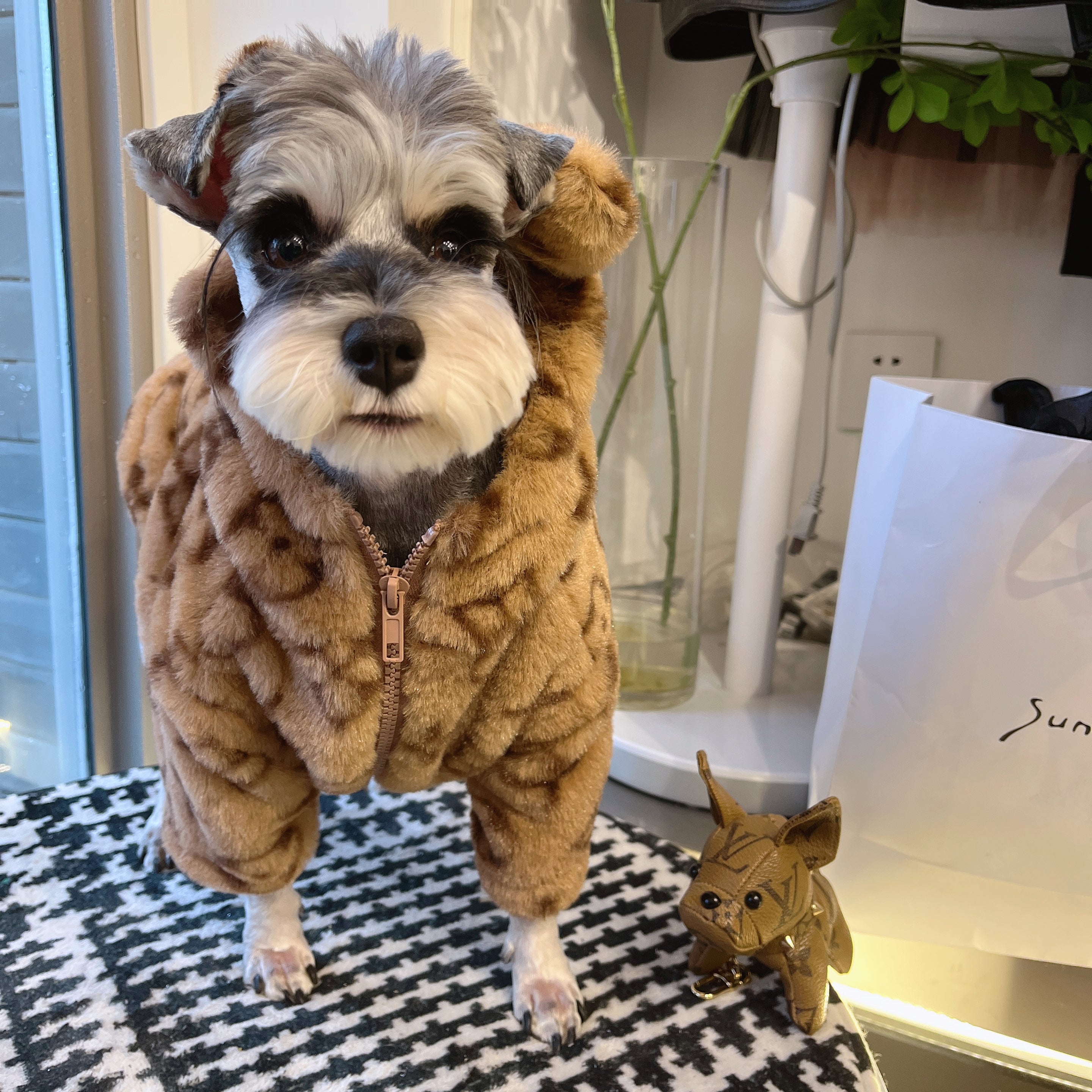 Designer Dog Hoodies Louis Vuitton - 2024 - Puppy Streetwear Shop