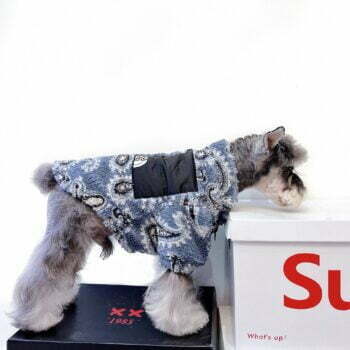 Dog Jacket The North Face - 2026 - Puppy Streetwear Shop