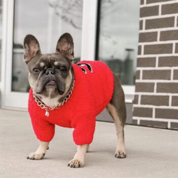Dog Sweater Chanel - 2025 - Puppy Streetwear Shop