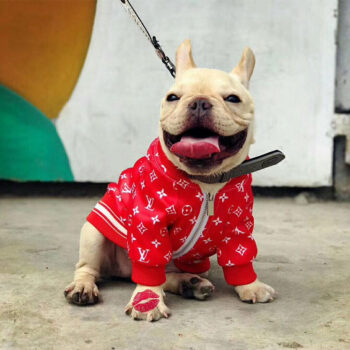 Dog Jacket Louis Pawtton - 2025 - Puppy Streetwear Shop