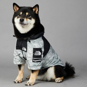 Dog Hoodies The North Face - 2026 - Puppy Streetwear Shop
