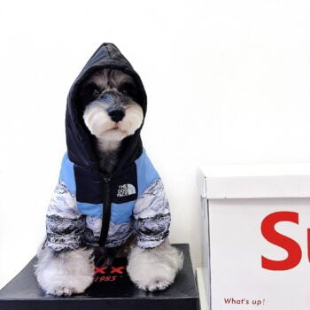 Dog Jacket The North Face - 2025 - Puppy Streetwear Shop