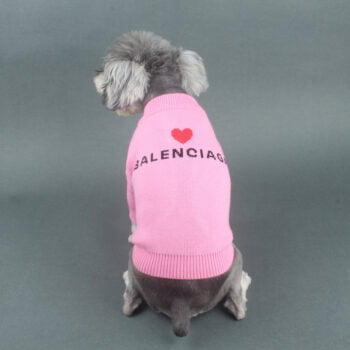 Dog Sweater Balenciaga - 2026 - Puppy Streetwear Shop