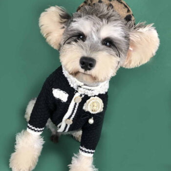 Dog Sweater Chanel - 2025 - Puppy Streetwear Shop
